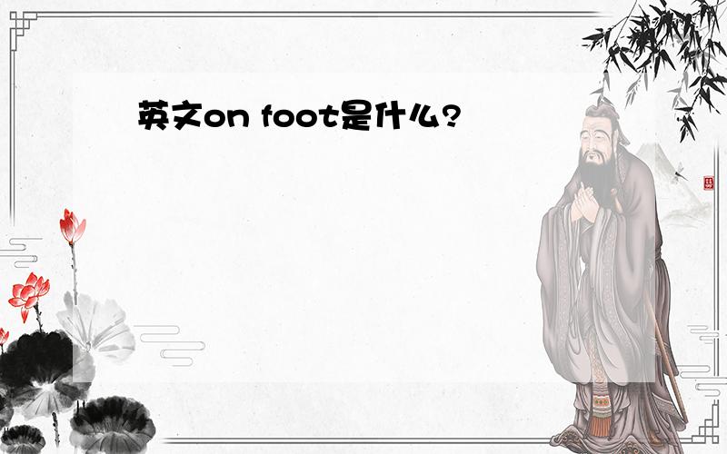 英文on foot是什么?