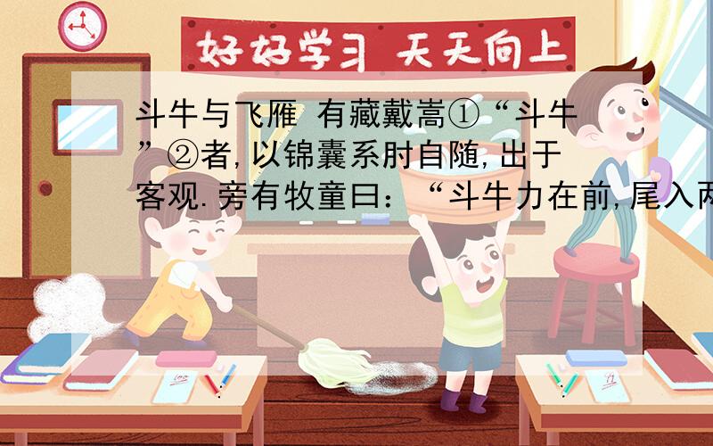 斗牛与飞雁 有藏戴嵩①“斗牛”②者,以锦囊系肘自随,出于客观.旁有牧童曰：“斗牛力在前,尾入两股间,