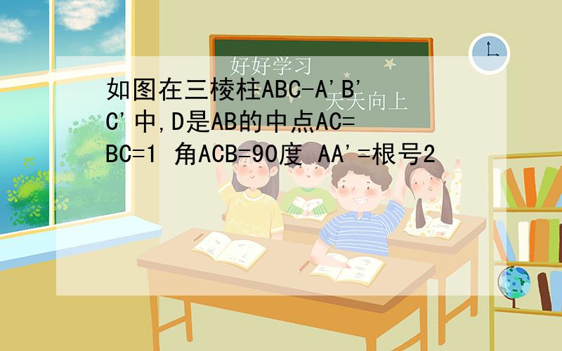 如图在三棱柱ABC-A'B'C'中,D是AB的中点AC=BC=1 角ACB=90度 AA'=根号2