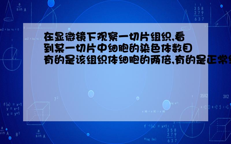 在显微镜下观察一切片组织,看到某一切片中细胞的染色体数目有的是该组织体细胞的两倍,有的是正常细胞的