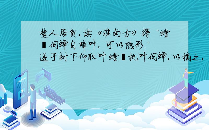 楚人居贫,读《淮南方》得“螳蜋伺蝉自障叶, 可以隐形.”遂于树下仰取叶.螳蜋执叶伺蝉,以摘之, 叶落树