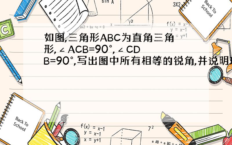 如图,三角形ABC为直角三角形,∠ACB=90°,∠CDB=90°,写出图中所有相等的锐角,并说明理由