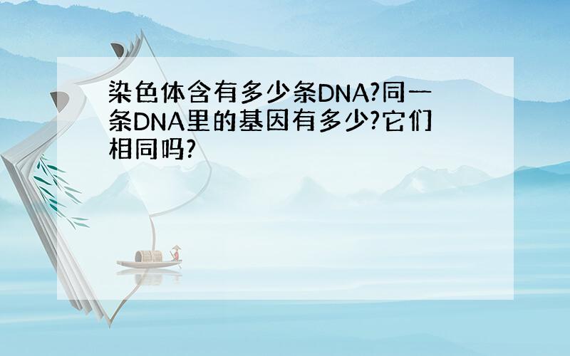 染色体含有多少条DNA?同一条DNA里的基因有多少?它们相同吗?