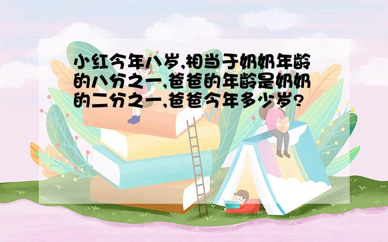 小红今年八岁,相当于奶奶年龄的八分之一,爸爸的年龄是奶奶的二分之一,爸爸今年多少岁?