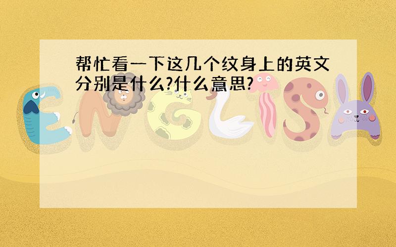 帮忙看一下这几个纹身上的英文分别是什么?什么意思?