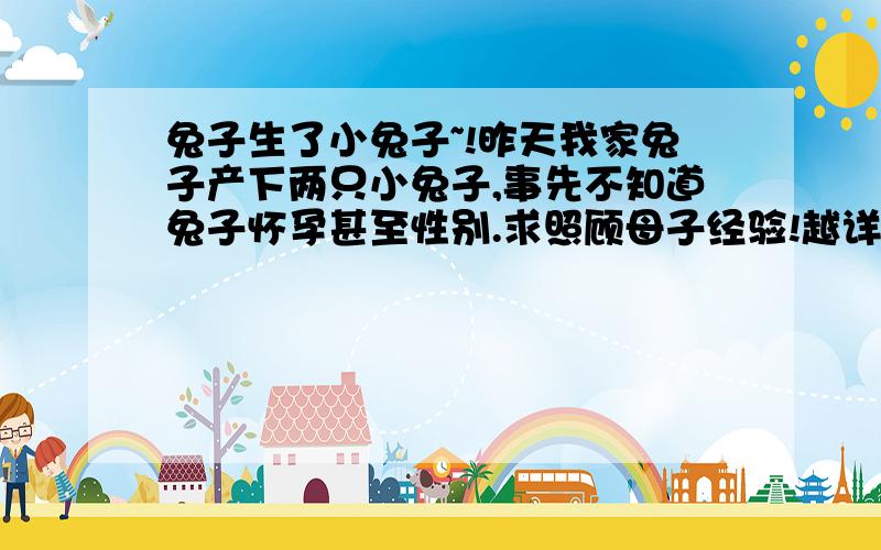 兔子生了小兔子~!昨天我家兔子产下两只小兔子,事先不知道兔子怀孕甚至性别.求照顾母子经验!越详细越好!包括吃什么、温度、