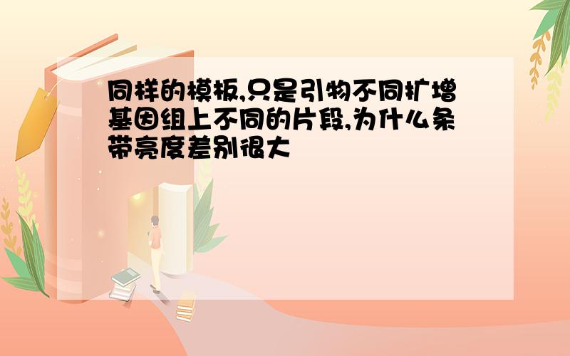 同样的模板,只是引物不同扩增基因组上不同的片段,为什么条带亮度差别很大