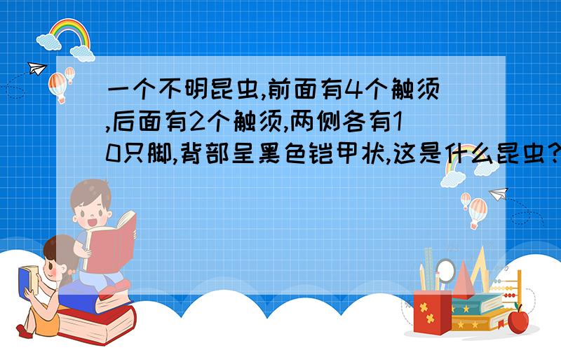 一个不明昆虫,前面有4个触须,后面有2个触须,两侧各有10只脚,背部呈黑色铠甲状,这是什么昆虫?