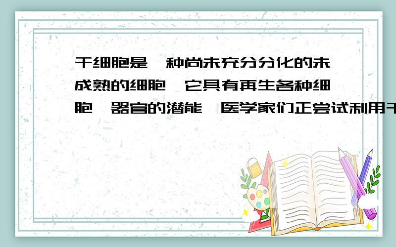 干细胞是一种尚未充分分化的未成熟的细胞,它具有再生各种细胞、器官的潜能,医学家们正尝试利用干细胞治疗一些顽疾,用骨髓移植