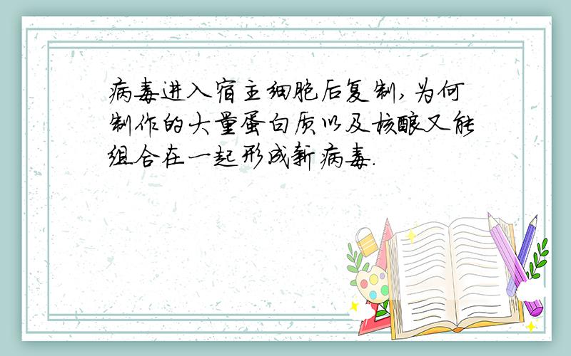 病毒进入宿主细胞后复制,为何制作的大量蛋白质以及核酸又能组合在一起形成新病毒.