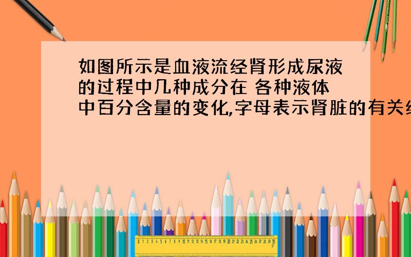 如图所示是血液流经肾形成尿液的过程中几种成分在 各种液体中百分含量的变化,字母表示肾脏的有关结构