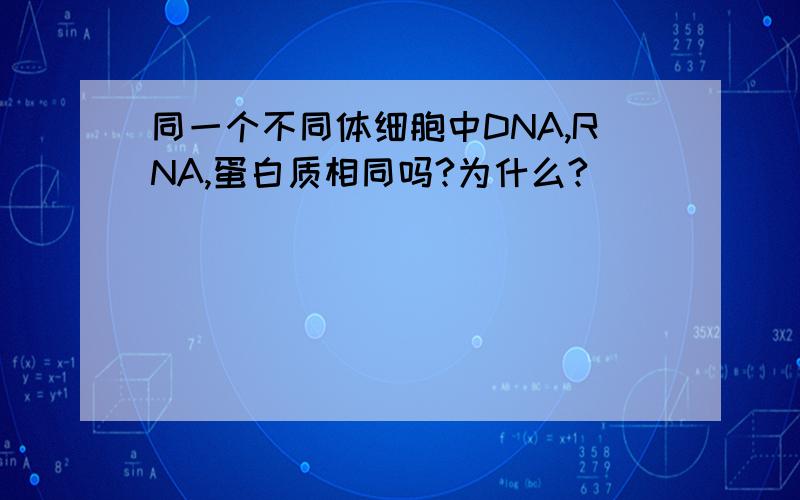 同一个不同体细胞中DNA,RNA,蛋白质相同吗?为什么?