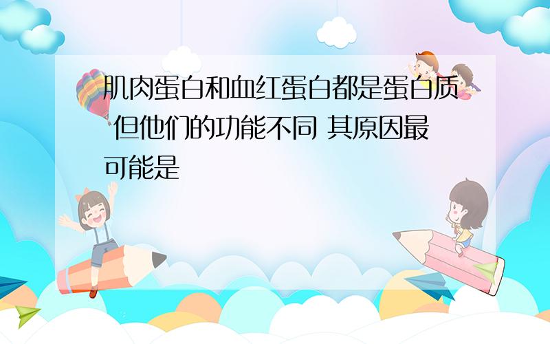 肌肉蛋白和血红蛋白都是蛋白质 但他们的功能不同 其原因最可能是