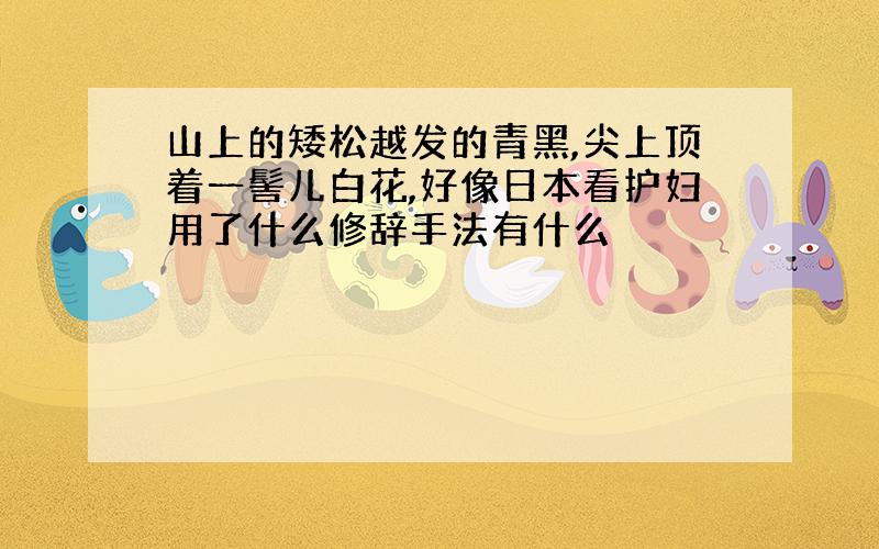 山上的矮松越发的青黑,尖上顶着一髻儿白花,好像日本看护妇用了什么修辞手法有什么