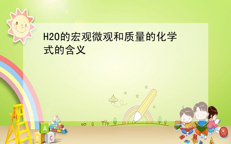 H2O的宏观微观和质量的化学式的含义