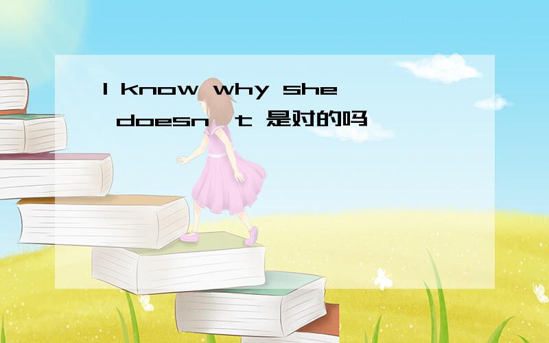 I know why she doesn't 是对的吗