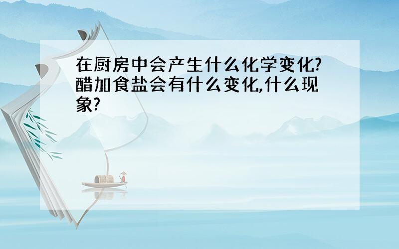 在厨房中会产生什么化学变化?醋加食盐会有什么变化,什么现象?