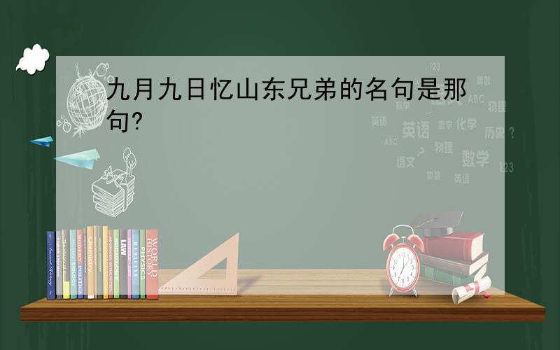 九月九日忆山东兄弟的名句是那句?