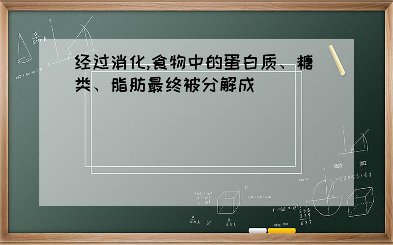 经过消化,食物中的蛋白质、糖类、脂肪最终被分解成