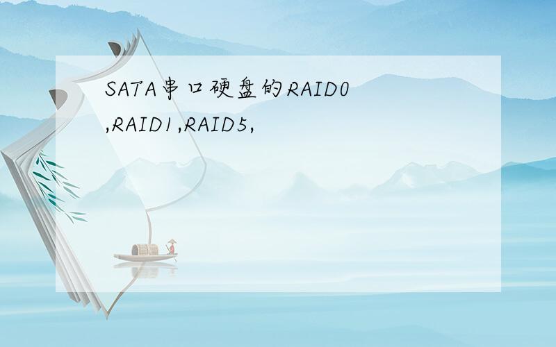 SATA串口硬盘的RAID0,RAID1,RAID5,