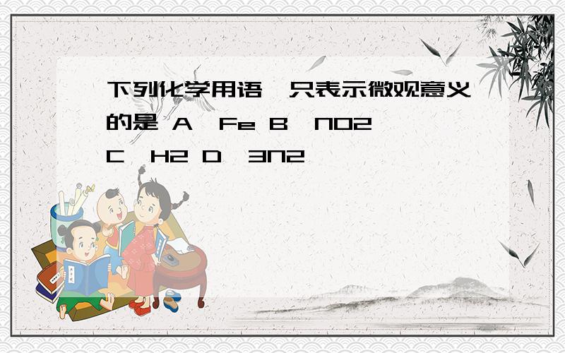 下列化学用语,只表示微观意义的是 A、Fe B、NO2 C、H2 D、3N2