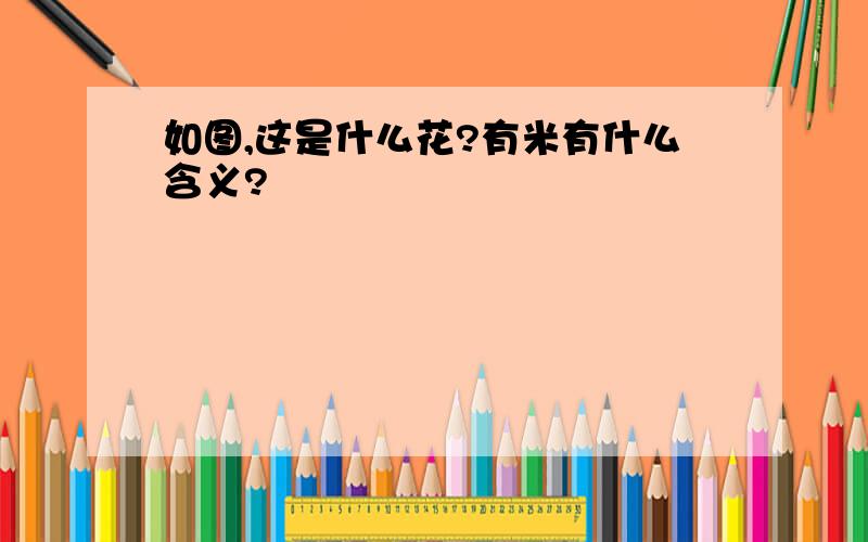 如图,这是什么花?有米有什么含义?