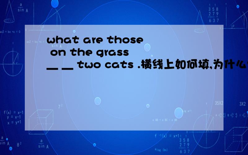 what are those on the grass ＿ ＿ two cats .横线上如何填,为什么?