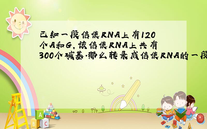 已知一段信使RNA上有120个A和G,该信使RNA上共有300个碱基.那么转录成信使RNA的一段DNA分子中应有C和T多