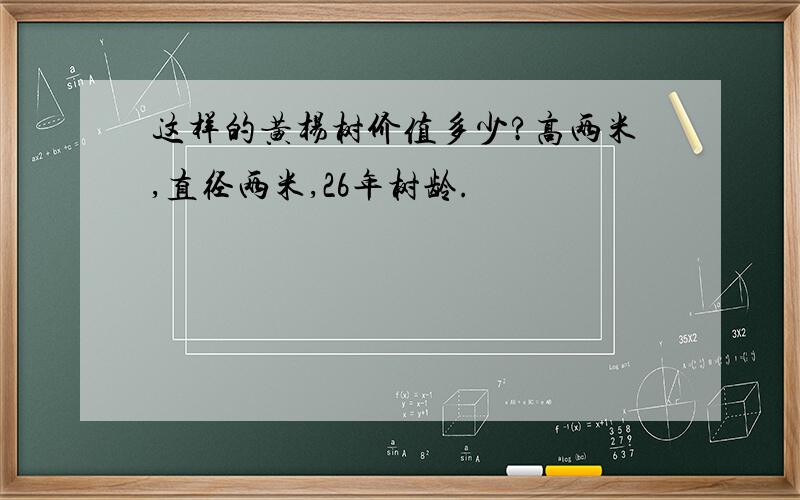 这样的黄杨树价值多少?高两米,直径两米,26年树龄.