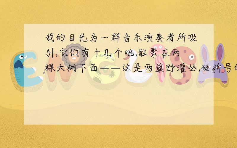 我的目光为一群音乐演奏者所吸引,它们有十几个吧,散聚在两棵大树下面——这是两簇野灌丛,破折号的作