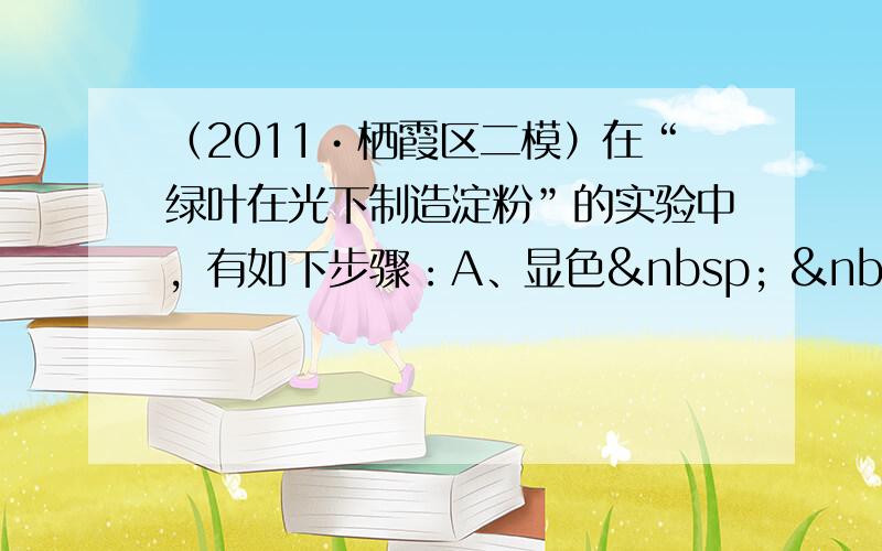 （2011•栖霞区二模）在“绿叶在光下制造淀粉”的实验中，有如下步骤：A、显色   B、照光&nbs