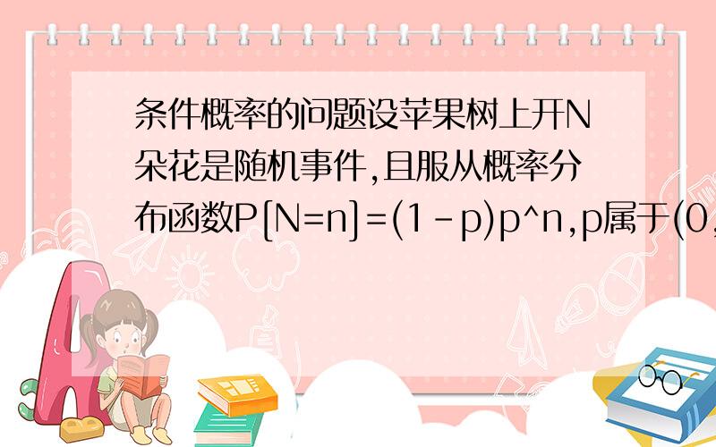 条件概率的问题设苹果树上开N朵花是随机事件,且服从概率分布函数P[N=n]=(1-p)p^n,p属于(0,1)区间,又假