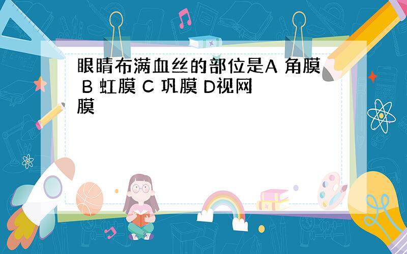 眼睛布满血丝的部位是A 角膜 B 虹膜 C 巩膜 D视网膜