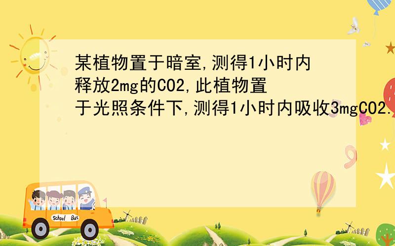 某植物置于暗室,测得1小时内释放2mg的CO2,此植物置于光照条件下,测得1小时内吸收3mgCO2.该植物1小时内通过光