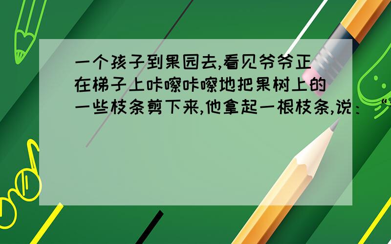 一个孩子到果园去,看见爷爷正在梯子上咔嚓咔嚓地把果树上的一些枝条剪下来,他拿起一根枝条,说：“爷爷,