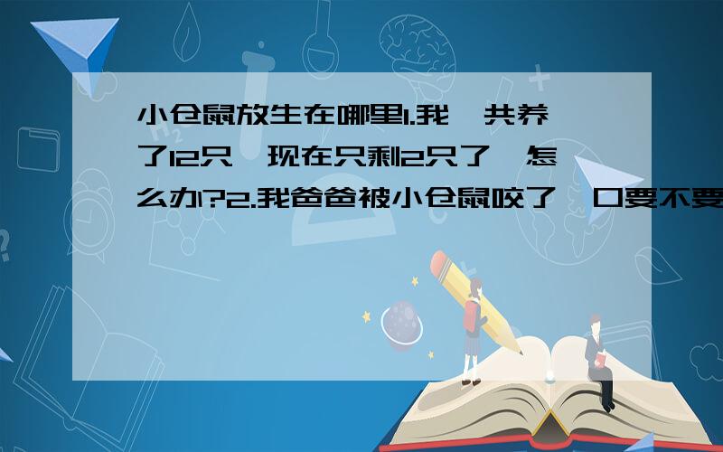 小仓鼠放生在哪里1.我一共养了12只,现在只剩2只了,怎么办?2.我爸爸被小仓鼠咬了一口要不要紧啊?3.还有小仓鼠会不会