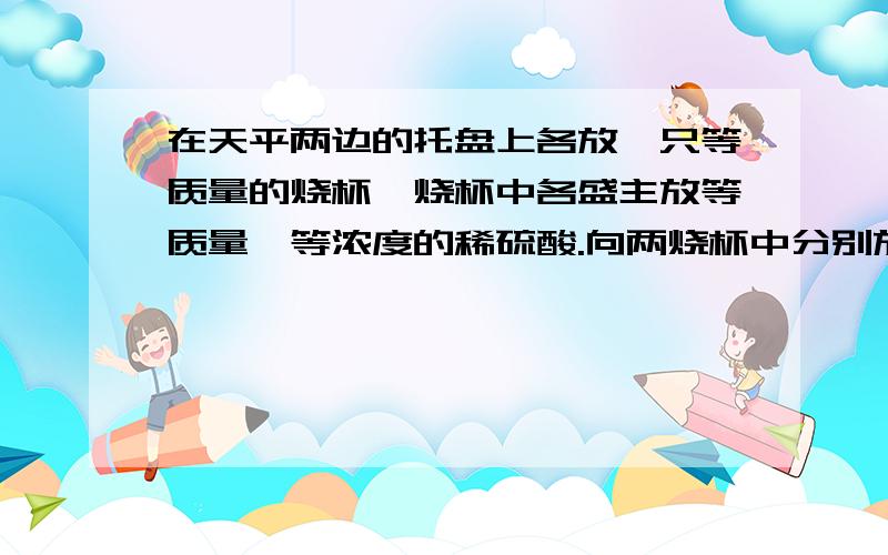 在天平两边的托盘上各放一只等质量的烧杯,烧杯中各盛主放等质量、等浓度的稀硫酸.向两烧杯中分别放入一块镁片和铝片（均与硫酸