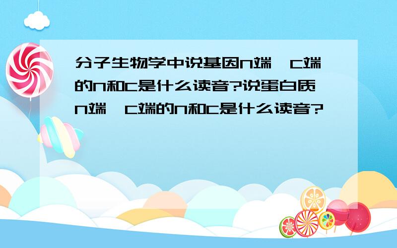 分子生物学中说基因N端、C端的N和C是什么读音?说蛋白质N端、C端的N和C是什么读音?