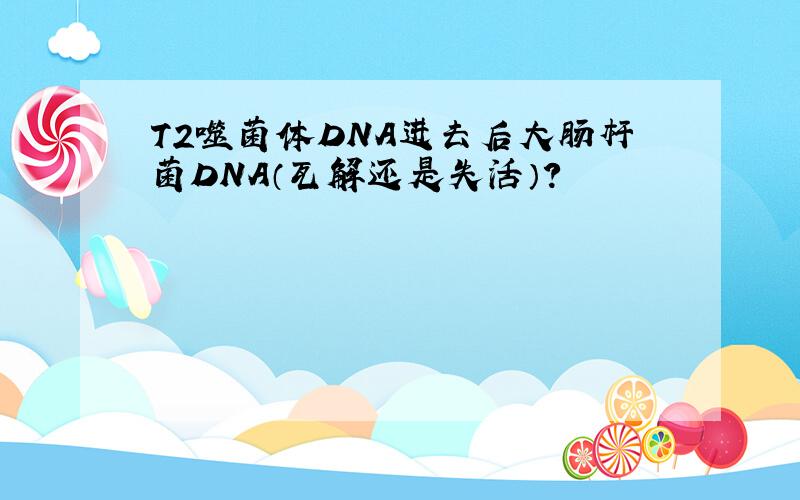 T2噬菌体DNA进去后大肠杆菌DNA（瓦解还是失活）?