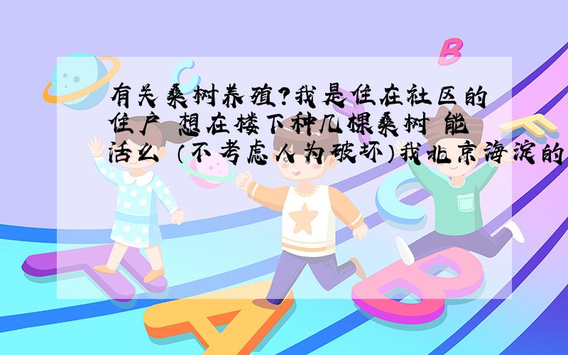 有关桑树养殖?我是住在社区的住户 想在楼下种几棵桑树 能活么 （不考虑人为破坏）我北京海淀的 如果可以 那树苗又要从哪买