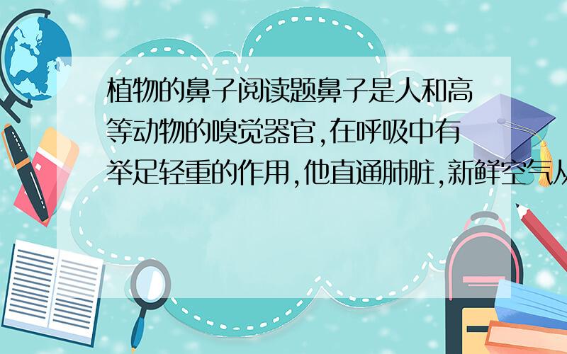 植物的鼻子阅读题鼻子是人和高等动物的嗅觉器官,在呼吸中有举足轻重的作用,他直通肺脏,新鲜空气从这里输入,二氧化碳等代谢废