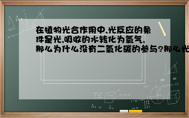 在植物光合作用中,光反应的条件是光,吸收的水转化为氧气,那么为什么没有二氧化碳的参与?那么光合作用的吸收二氧化碳表现在哪