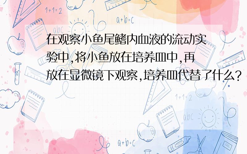 在观察小鱼尾鳍内血液的流动实验中,将小鱼放在培养皿中,再放在显微镜下观察,培养皿代替了什么?