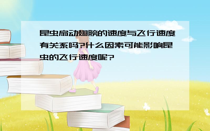 昆虫扇动翅膀的速度与飞行速度有关系吗?什么因素可能影响昆虫的飞行速度呢?