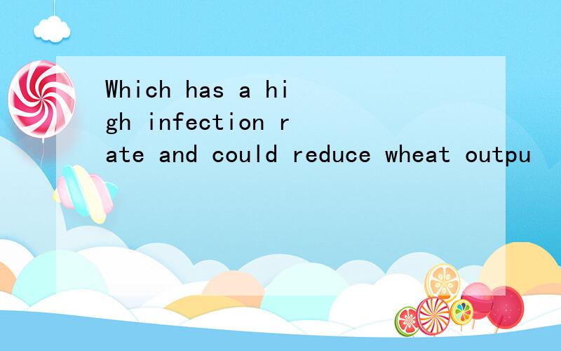 Which has a high infection rate and could reduce wheat outpu