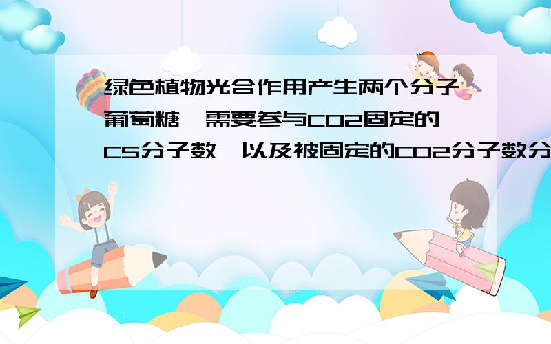 绿色植物光合作用产生两个分子葡萄糖,需要参与CO2固定的C5分子数,以及被固定的CO2分子数分别是多少?