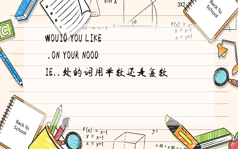 WOUID YOU LIKE .ON YOUR NOODIE..处的词用单数还是复数