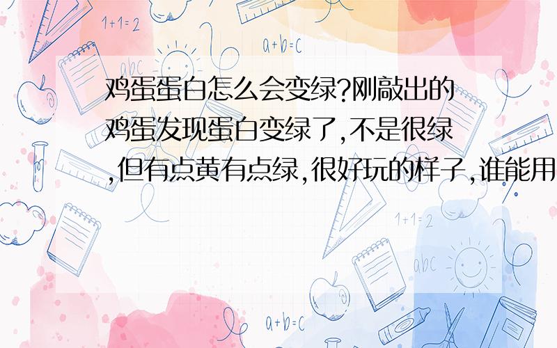 鸡蛋蛋白怎么会变绿?刚敲出的鸡蛋发现蛋白变绿了,不是很绿,但有点黄有点绿,很好玩的样子,谁能用科学解释一下?这样的蛋还能