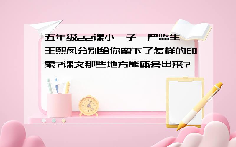 五年级22课小嘎子、严监生、王熙凤分别给你留下了怎样的印象?课文那些地方能体会出来?