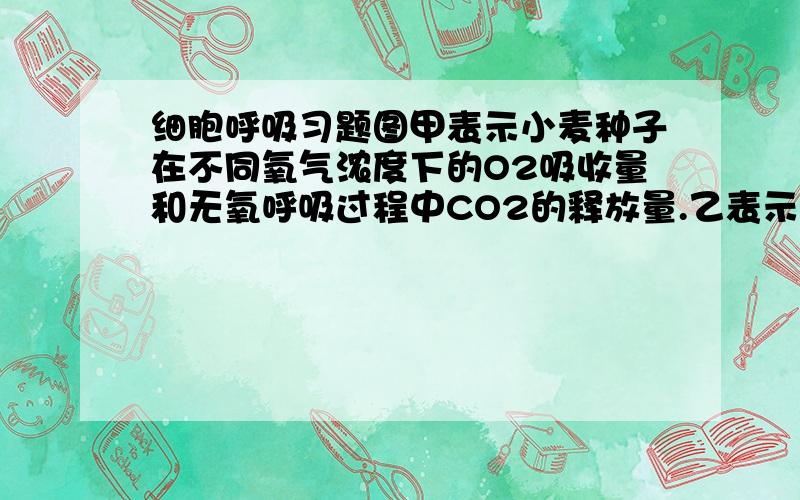 细胞呼吸习题图甲表示小麦种子在不同氧气浓度下的O2吸收量和无氧呼吸过程中CO2的释放量.乙表示等量的A、B两份小麦种子分